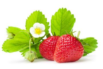 Fresh strawberry
