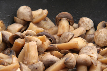 Champignons