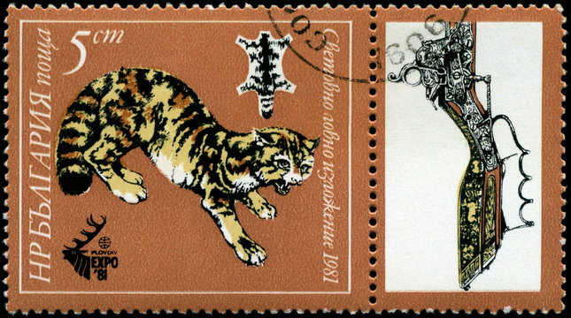 BULGARIA - CIRCA 1981 Leopard