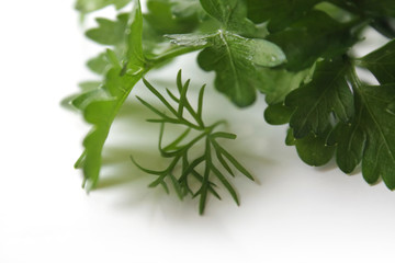Parsley leaves on a white background