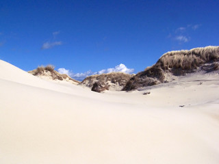 Sanddüne