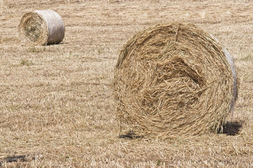 bales of hay