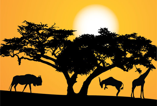 exotic trees and animals, set vector