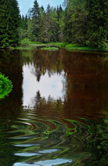 beautiful river in national park