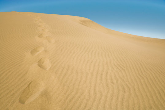 Foot prints