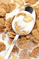 Breakfast cereal with milk