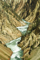 Gorge of the yellowstone river