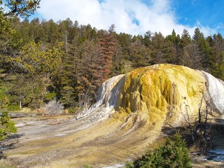 Yellowstone