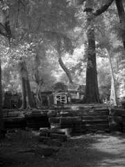Angkor Wat - The bliss of Khmer art nb.42