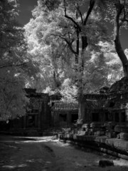 Angkor Wat - The bliss of Khmer art nb.48