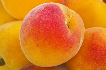 Albicocche
