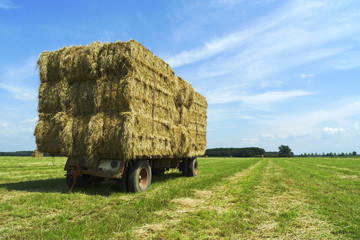 Bales of hay on a trailer standing in the sun