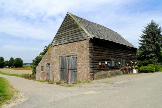 A small barn in the Biesbosch National Park, Holland