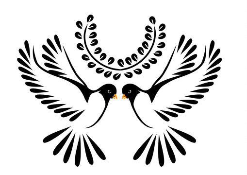 Dove or bird in flight