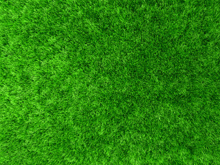 Fototapeta premium grass background