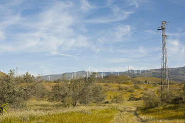 Wind Turbines and Electric Pole