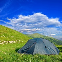 touristic tent among a green fields