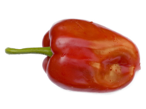 red pepeer