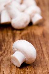 fresh champignon