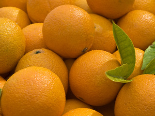 Malta Oranges