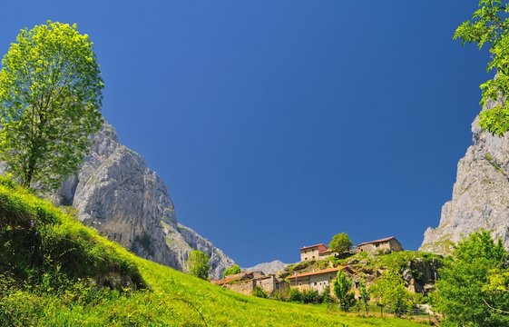Bulnes