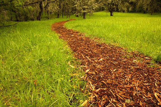 Bark path