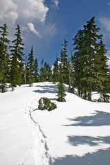 Winter hiking snow trail view.