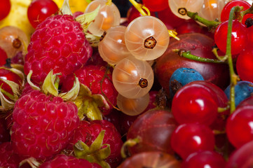 Obraz na płótnie Canvas mixed berries