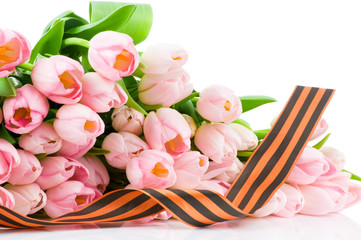 Tulips isolated on white background