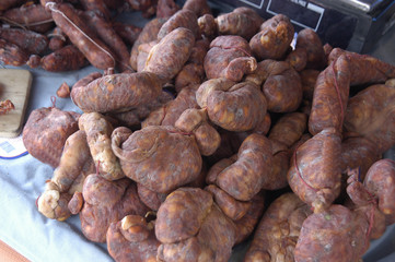 Productos de Galicia 73