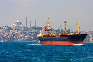 Obraz premium Freighter before Istanbul Skyline, Turkey