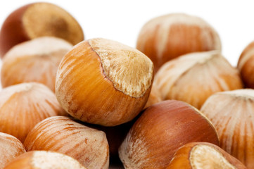 Heap of hazelnuts on white background