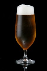 Beer or Lager in Glass