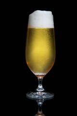 Beer or Lager in Glass