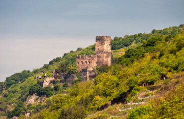 Fototapeta na wymiar Gutenfels castle