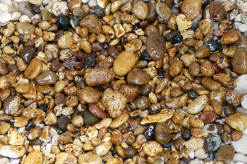 Oil covering rocks