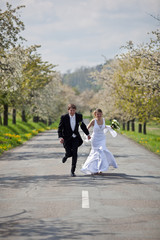 young wedding couple - freshly wed groom and bride