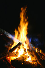 Fototapeta premium Fire