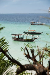 Fishing dhows of the Zanzibar coast