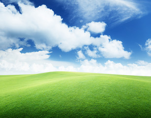 Obraz premium green field and blue sky