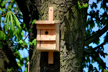 Neuer Vogelkasten