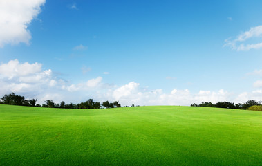 green field and trees