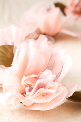 Fototapeta premium 花