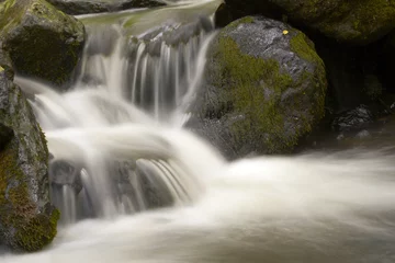Fototapeten Wald Fluss Rocky river  © Justinb