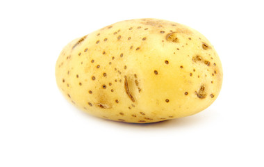 Potato on white background