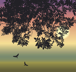 Butterfly under the branches