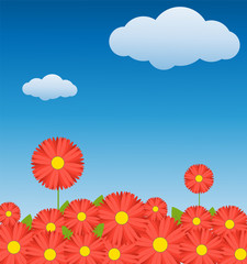 flowers and clouds