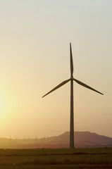 Obraz premium windmill