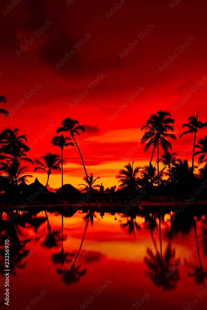 Wall mural Orange and red sunset over sea beach with palms - Wall murals