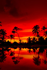 Orange and red sunset over sea beach with palms